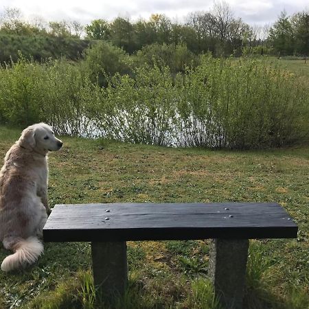 Bb-Vadehavet Ferielejlighed Til 6 Personer Ved Nationalpark Vadehavet Ribe Exterior photo